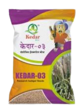 रिसर्च ईसबगोल केदार - 03